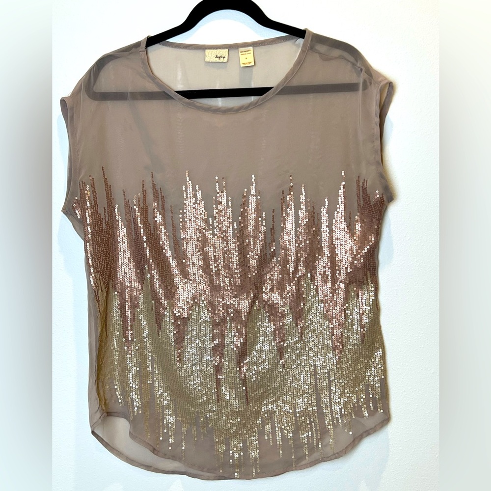 Daytrip sheer blouse